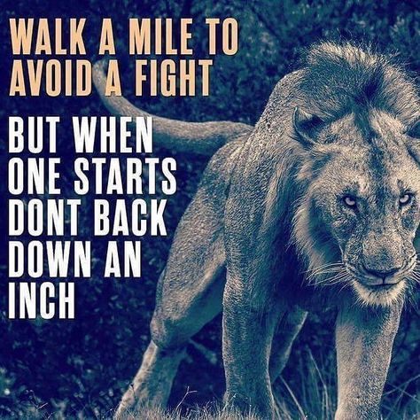 Walk a MILE to avoid a fight but when it starts don’t back down an INCH . . #travel #traveller #travels #travelgram #wanderlust… Lion Quotes, Leo Lion, Wolf Quotes, Walk A Mile, Warrior Quotes, Word Up, Badass Quotes, A Lion, A Quote