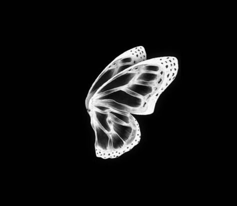 black background Y2k Icons Black Background, Y2k Black And White Wallpaper, Gray Vibes Aesthetic, Black Butterflies Aesthetic, Black Y2k Wallpaper, Ikea Shark, Butterfly Y2k, Y2k Black And White, White Pic