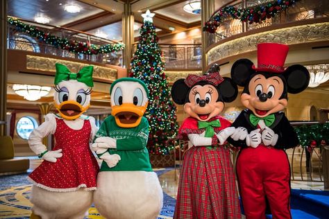 Winter Wonderland Ball, Christmas Cruise, Disney Wish, Christmas Cruises, Very Merry Christmas Party, Merry Christmas Images, Disney Fantasy, Cruise Line, Disney Cruise Line