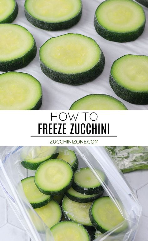 How to freeze zucchini by Zucchini Zone. Don't let that garden zucchini go to waste! Today we're talking about how to freeze zucchini (sliced and shredded) so you can enjoy that summer harvest year round. #howtofreezezucchini #freezingzucchini #frozenzucchini #frozenshreddedzucchini #frozenzucchinislices Frozen Zucchini Recipes, Can You Freeze Zucchini, How To Freeze Zucchini, Freezing Veggies, Frozen Zucchini, Zucchini Smoothie, Low Sugar Smoothies, Freezing Zucchini, Freezing Vegetables