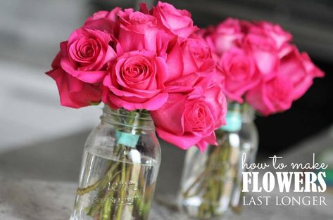 How to Make Fresh Flowers Last Longer How To Keep Flowers Fresh Longer, Flower Tips, Flowers Last Longer, Summer Flower Arrangements, Flowers Home Decor, Arrangement Ideas, Flowers Home, Garden Tips, Diy Tips