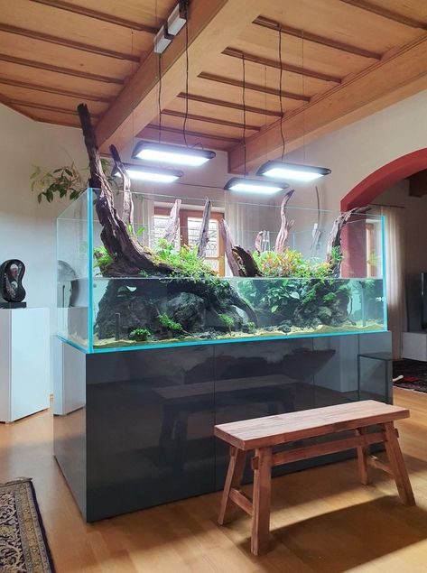 Mangrove Aquarium, Home Aquarium Ideas, Aquarium Home, Terrarium Tank, Biotope Aquarium, Japan Living, Freshwater Aquarium Plants, Amazing Aquariums, Aquascape Design