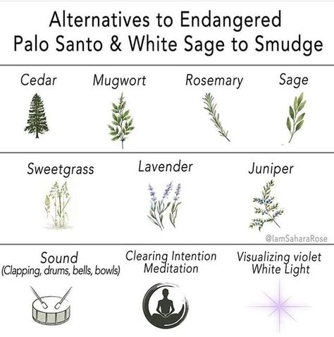 Kris🌙⭐🔮🏳️‍🌈🇨🇦 on Instagram: “I've always been a fan of bell ringing” Sage And Palo Santo, Green Witchcraft, Sage Smudging, Aura Cleansing, Eclectic Witch, Herbal Apothecary, Witchcraft Spell Books, Magical Life, Hedge Witch