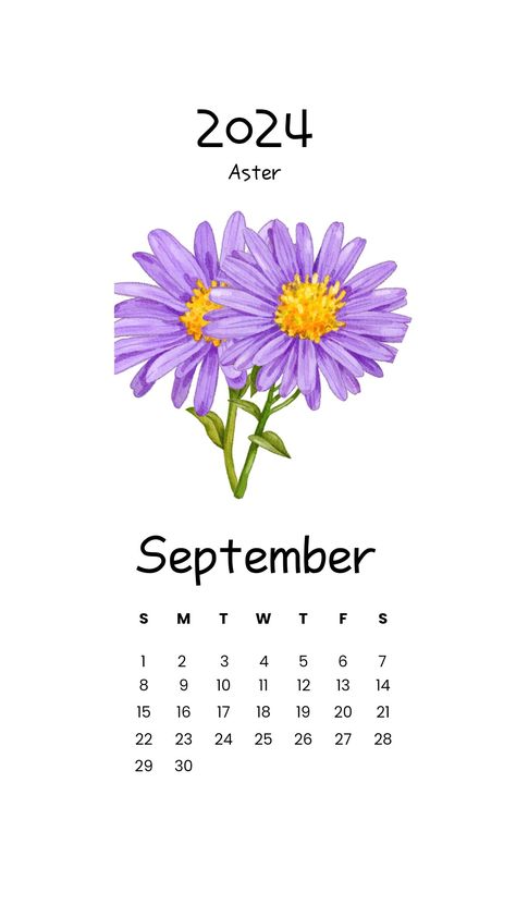 #2024 #calender #2024calender #September #September2024 #Septembercalender #monthlycalender #Aster #love #sorrow #elegance #faith #morningglory #passion #rebirth  #bloomallyear #calenderwallpaper #flowers #floral #birthmonthflowers #birthflower #wall calender #trendywallcalender #trendydesign September Calender 2024, Aster Flower Wallpaper, September 2024 Calendar Wallpaper, September 2024 Calendar Printable, Calendar September 2024, September 2024 Calendar, September Calendar 2024, September Kalender, Printable Calender