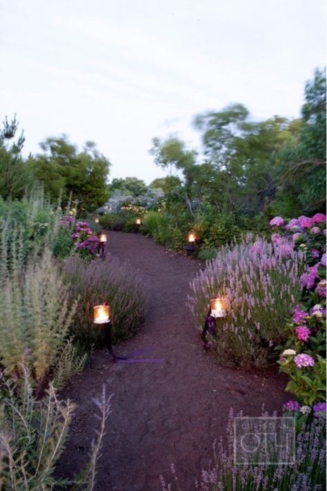 Sublime, tranquil...the path of peace Marthas Vineyard Wedding, Lavender Garden, Lavender Farm, Have Inspiration, Lovely Lavender, Marthas Vineyard, Gardens Flowers, Garden Pathway, Garden Path