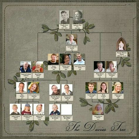 Heritage Scrapbooking Layouts, Genealogy Crafts, Family Tree Book, Heritage Scrapbook Pages, Family Tree With Pictures, Family Tree Designs, Family Tree Photo, Family Tree Art, Family Tree Project