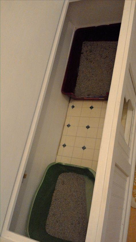 Two litter boxes provide choices... cats need choices! Hidden CAT LITTER BOX Cat Litter Box Ideas Hidden Curtain, Diy Hidden Cat Litter Box Bench, Elevated Cat Litter Box Ideas, Car Litter Box Hidden, Hidden Catbox Ideas, Hidden Bunny Litter Box Ideas, Diy Enclosed Cat Litter, Multicat Litter Box Ideas, Cat Litter Tray Ideas