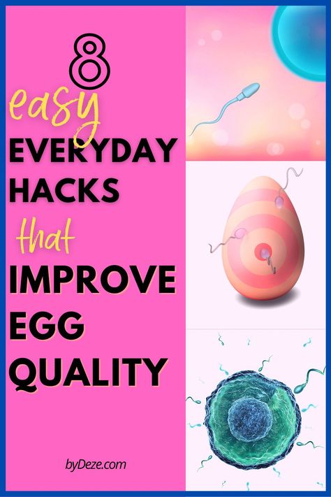 It Starts With The Egg, Improve Egg Quality, Conception Tips, Fertility Meditation, Help Getting Pregnant, Boost Fertility, Egg Quality, Post Pregnancy Fashion, Ivf Success