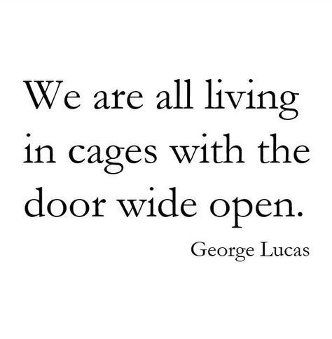 i am living in a cage with the door wide open. Under Your Spell, George Lucas, Random Thoughts, Quotable Quotes, A Quote, Pretty Words, Great Quotes, Wisdom Quotes, Beautiful Words