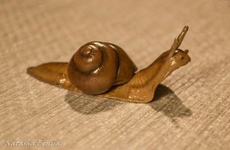 Diy Clay Snails, Insect Sculpture Clay, Polymer Clay Decor Home, Clay Snails Sculpture, Clay Garden Sculptures, Snail Clay Sculpture, Air Dry Clay Snail, Polymer Clay Snails, Nature Clay Projects