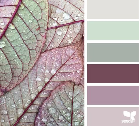 Palette Design, Color Schemes Colour Palettes, Purple Design, Bohol, Design Seeds, Color Palette Design, Color Balance, Bathroom Colors, Colour Board