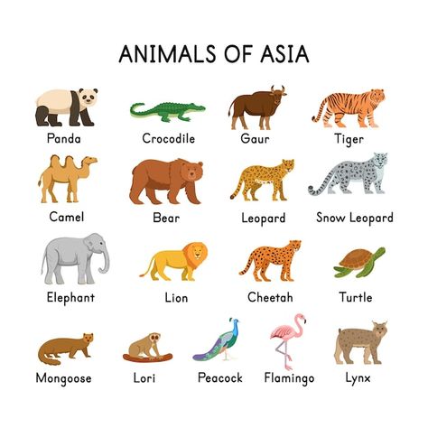 Vector animals of asia panda crocodile t... | Premium Vector #Freepik #vector #lion #snow-leopard #pangolin #lynx Journey Infographic, Lion Turtle, Vector Animals, Montessori Toddler Activities, Global Travel, Famous Landmarks, Snow Leopard, Kids' Book, Lynx