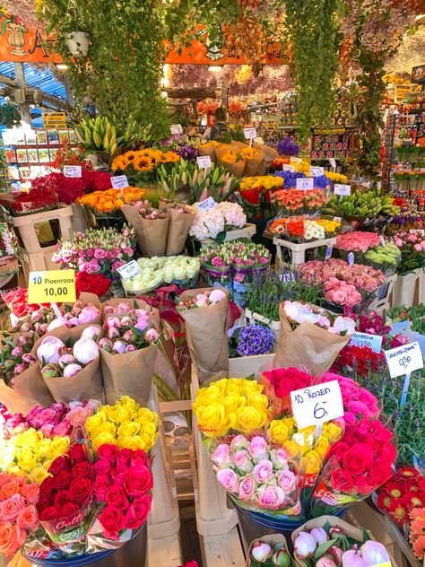 Beautiful flowers for sale at the floating flower market in Amsterdam, Netherlands. #amsterdam #amsterdamnetherlands #netherlands #europe #europebucketlist #travel #travelinspo #flowers Netherlands Summer, Amsterdam Market, Amsterdam Flower Market, Amsterdam Photos, Floating Flower, Flowers For Sale, Boquette Flowers, Floating Flowers, Nothing But Flowers