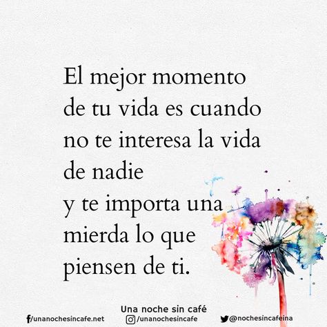 "El mejor momento de tu vida es cuando no te interesa la vida de nadie y te importa una mierda lo que piensen de ti. Cheating Boyfriend Quotes, Cheating Boyfriend, Love Phrases, Boyfriend Quotes, Quote Aesthetic, Pretty Quotes, Woman Quotes, True Quotes, Favorite Quotes