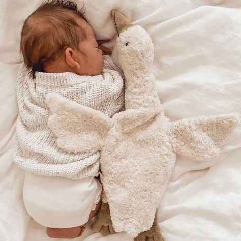 Baby Mode, White Goose, Cuddly Animals, Foto Baby, Cuddly Toy, Future Baby, Future Kids, Baby Fever, Newborn Photos