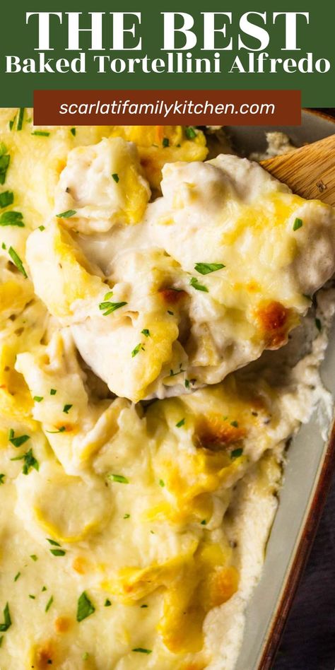 This easy baked tortellini alfredo recipe is a hearty, quick meal made in just 45 minutes. Cheese tortellini is baked with homemade alfredo and mozzarella cheese until golden brown. Baked Chicken Tortellini Alfredo, Tortellini Casserole Alfredo, Tortelinni Bake, Mozzarella Tortellini Recipes, Tortellini Bake Alfredo, Chicken Tortellini Recipes Healthy, Baked Alfredo Tortellini, Tortellini For A Crowd, Baked Cheese Tortellini Recipes