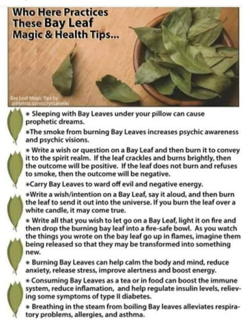 Burn Bay Leaves, Burning Bay Leaves, Smudging Prayer, Witchcraft Spells For Beginners, Witchcraft Magic, Magickal Herbs, Witch Herbs, Spells For Beginners, Magic Spell Book