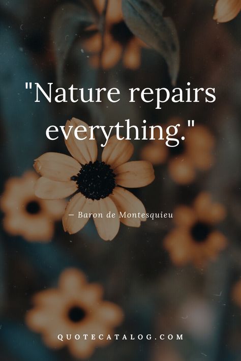 Nature Person Quotes, Beautiful Quotes About Nature, Nature With Quotes, Quotes About Nature Beauty, Natural Healing Quotes, Quote About Nature, Short Nature Quotes, Nature Lover Quotes, Nature Quotes Beautiful