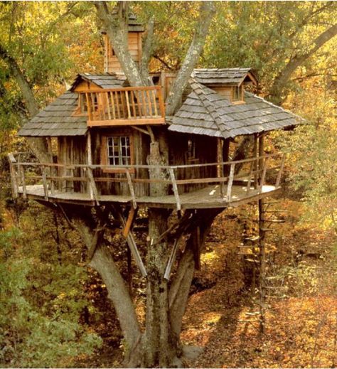 Small Tree House, Beautiful Tree Houses, Tree House Plans, Cool Tree Houses, Tree House Designs, Resort Design, Spiral Stairs, Outdoor Wicker, Shed Plans