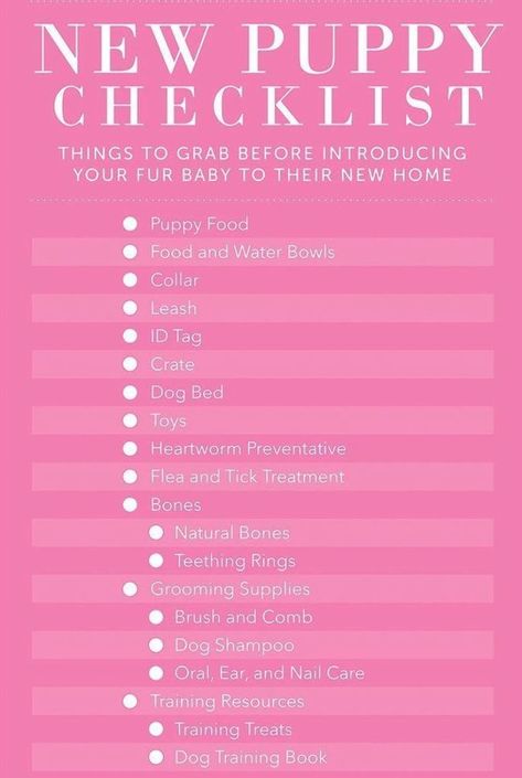 Puppy Proofing House Ideas, Puppy Proofing House, Puppy Set Up Ideas, House Training A Puppy, Training A Puppy, Home Checklist, Puppy Development, New Puppy Checklist, Puppy Checklist