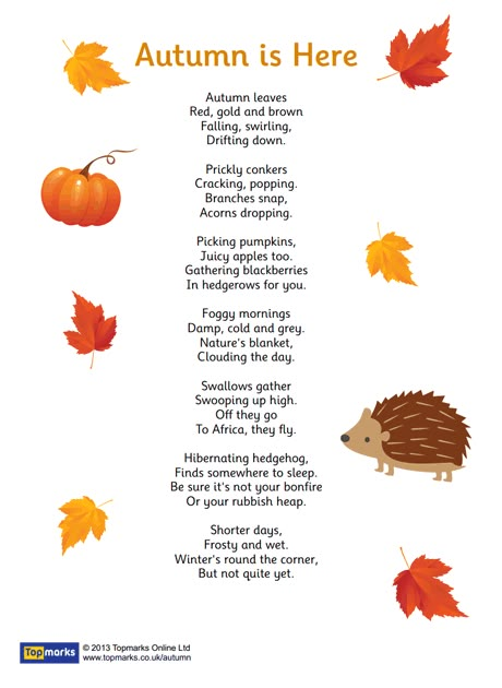 "Autumn is Here" inspirational poem for use in the primary classroom Autumn Eyfs, Autumn Poems, Poetry For Kids, Nursery Activities, Kids Poems, Finger Plays, Fall Preschool, Inspirational Poems, Autumn Display