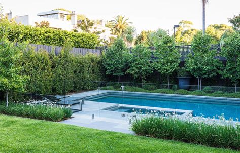 Hawthorn Rose - Ian Barker Gardens Concrete Swimming Pool, Pool Landscape Design, Concrete Pool, Landscape Construction, Backyard Pool Landscaping, Pool Fence, Building A Pool, Pool Builders, Swimming Pools Backyard