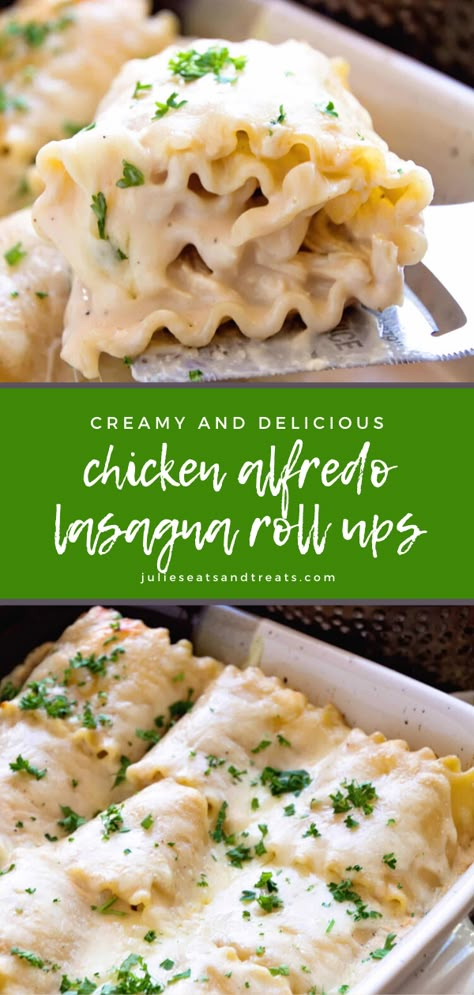 Chicken Alfredo Roll Ups, Chicken Alfredo Lasagna Roll Ups, Alfredo Roll Ups, Alfredo Lasagna Roll Ups, Fetuccini Alfredo, Lasagne Roll Ups, Chicken Lasagna Rolls, Chicken Alfredo Lasagna, Lasagna Roll Ups