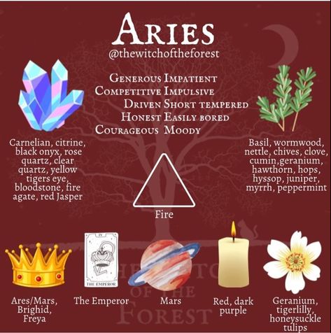 Green Witch Aesthetic, Zodiac Signs Elements, Gothic Love, Aries Aesthetic, Black Moon Lilith, All About Aries, Aries Season, Aries Astrology, Aries Tattoo