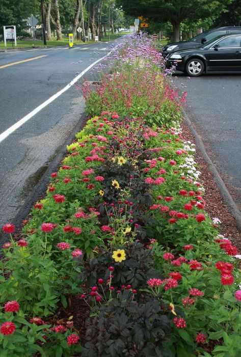 Driveway Strip, Sidewalk Landscaping, Fine Gardening Magazine, Annual Garden, Front Yard Design, Fine Gardening, Home Landscaping, White Tulips, Diy Landscaping