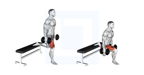 Dumbbell Split Squat, Squats Muscles Worked, Delt Fly, Benefits Of Squats, Squat Form, Dumbbell Workouts, Squat Variations, Quad Exercises, Bulgarian Split Squats