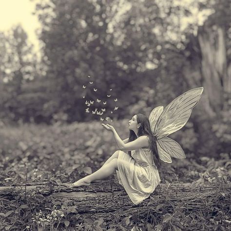 Plus Size Fairy Photoshoot, Fairy Concept Photoshoot, Cottingley Fairies, Fairy Poses, Coocoo Clock, Fairy Photos, Cleaning Fairy, Prom Shoot, Diptych Painting