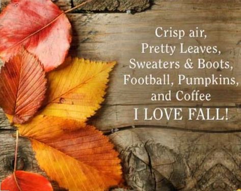 Grey And Teal Bedroom Ideas, Glory Quotes, Happy Thanksgiving Wallpaper, Teal Bedroom Ideas, Best Sayings, Thanksgiving Tree, Teal Bedroom, Fall O, Pretty Leaf