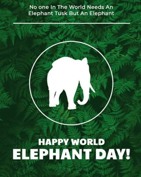 Elephant Day Poster, Free Templates Download, Photography Captions, World Elephant Day, Elephant Photography, International Days, Happy Elephant, Elephant Drawing, Save The Elephants