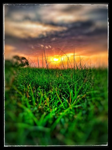 Shinning sun and dew All Begraund, Nature Photography Good Morning, Sun Background For Editing, Morning Background Wallpapers, Natural Background For Editing, Morning Background, Dslr Blur Background, Photoshop Backgrounds Backdrops, Free Lightroom Presets Portraits