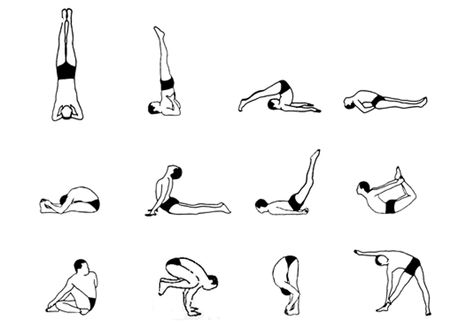 The 12 Asanas in the Sivananda tradition Poses Pictures, Sivananda Yoga, Yoga Ashtanga, Yoga Kundalini, Yoga Sutras, Easy Yoga Poses, Yoga Iyengar, Basic Yoga, Ashtanga Yoga