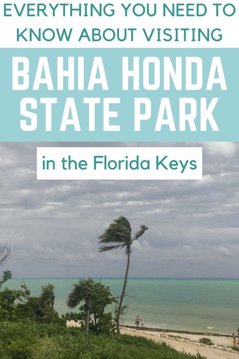 Bahia Honda State Park in Big Pine Key in the Florida Keys is an amazing, breathtakingly beautiful park. Not only does this park offer spectacular views, but you will also find plenty of activities. They have kayaking, camping, nature trails, and more. Big Pine Key Florida, Florida Keys Road Trip, Bahia Honda State Park, Florida Fish, Key West Vacations, Florida Camping, Florida State Parks, The Florida Keys, Beautiful Park