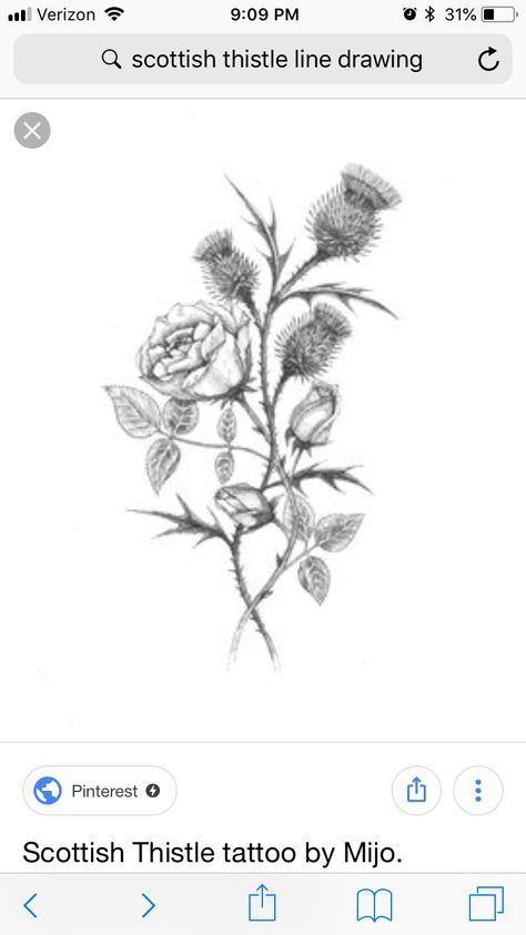 Without the rose Rose And Thistle Tattoo, Thistle Rose Tattoo, Scottish Thistle Tattoo, Thistle Tattoo, Rosé Black And White, Scottish Thistle, Spine Tattoos, White Tattoo, Travel Time