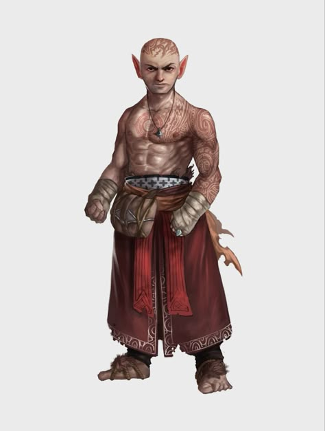 Gnome Monk, D&d Monk, Dnd Gnome Male, Halfling Rpg, Gnoll Pathfinder, Forest Gnome Dnd Male, Halfling Dnd, Forrest Gnomes Dnd, Dnd Gnome