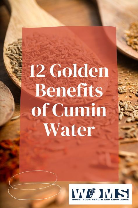 Cumin is the most common and old spice used for cooking in various parts of the world. Cumin water is getting fame due to its several advantages. Did you ever think about the benefits of cumin water? Cumin Water Benefits, Benefits Of Cumin, Cumin Benefits, Health Benefits Of Cumin, Cumin Water, Cumin Spice, Growing Healthy Hair, Lower Back Pain Exercises, Ginger Smoothie