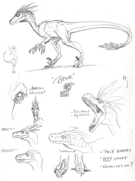 Skull Island Raptor by Matt Frank Dinosaur Pencil, Dino Drawing, Skull Animal, Pencil Drawing Ideas, Dinosaur Sketch, Animal Sketch, Drawing Skull, Dinosaur Drawing, Dragon Sketch