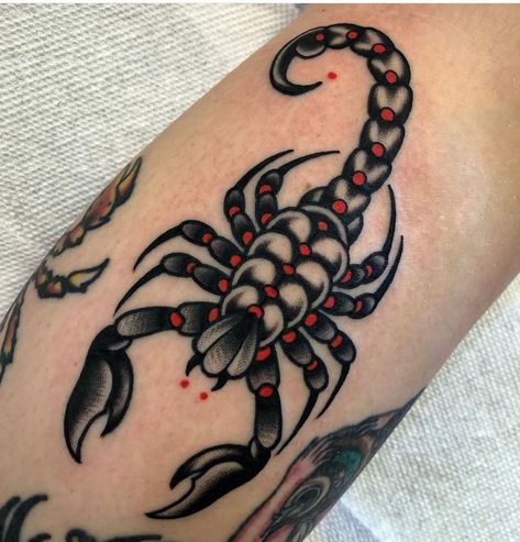 #tattoo #tattoos #inked #tattooart #tattooed #tattooideas #tattoodesign #tattooinspiration #tattoosleeve #tattooflash #inkedgirls #tattooedwomen  #InkLaughs  #TattooFails Black And Red Neo Traditional Tattoo, Neo Traditional Scorpion Tattoo, American Traditional Spider Tattoo, Scorpion Tattoo Traditional, American Traditional Scorpion Tattoo, Traditional Scorpion Tattoo, Trash Polka Tattoo Designs, Traditional Black Tattoo, Traditional Tattoo Inspiration