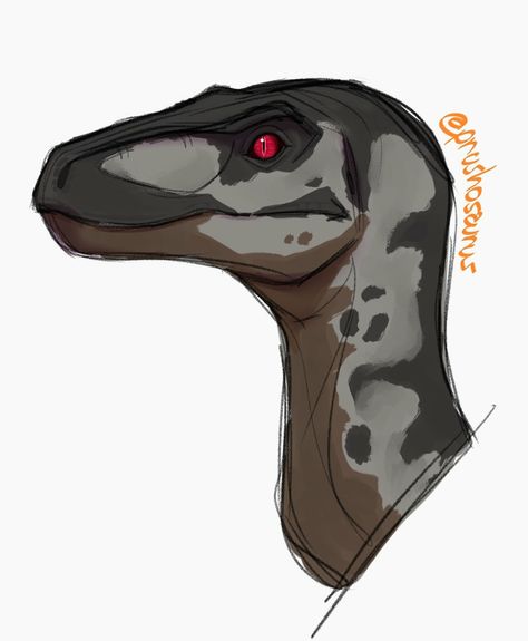 Velociraptor Oc Art, Raptor Anatomy, Raptor Drawing, Velociraptor Art, Velociraptor Drawing, Raptor Art, Dinosaur Reference, Jurassic Park Characters, Dinosaur Drawings