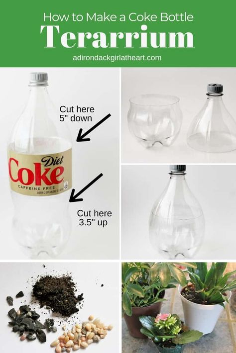 How to Make a Coke Bottle Terrarium adirondackgirlatheart.com (1) Soda Bottle Terrarium, Terrarium Ideas For Kids, Plastic Bottle Terrarium, How To Make A Terrarium, Homeschool Cabinet, Coke Bottle Crafts, Teaching Plants, Bottle Flowers, Bottle Terrarium