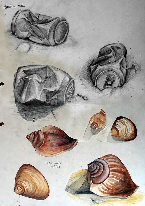 This International GCSE Art sketchbook example includes drawings of crumpled cans found at a local beach as well as watercolour paintings of shells. Drawing Forms, Drawing Ideas Creative Sketchbooks, Sketchbook Examples, Gcse Sketchbook, Drawing Ideas Creative, Sketchbook Layout, Natural Form Art, Gcse Art Sketchbook, A Level Art Sketchbook