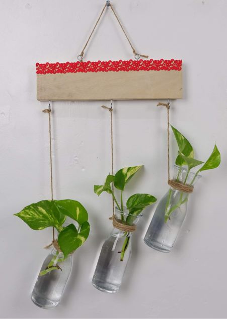 Pothos Decor, Plant In Glass Vase, Hanging Decoration Ideas, Plant Wall Hanging, Plant In Glass, Flowers Stand, Hanging Plant Wall, Glass Bottle Diy, Bottle Diy