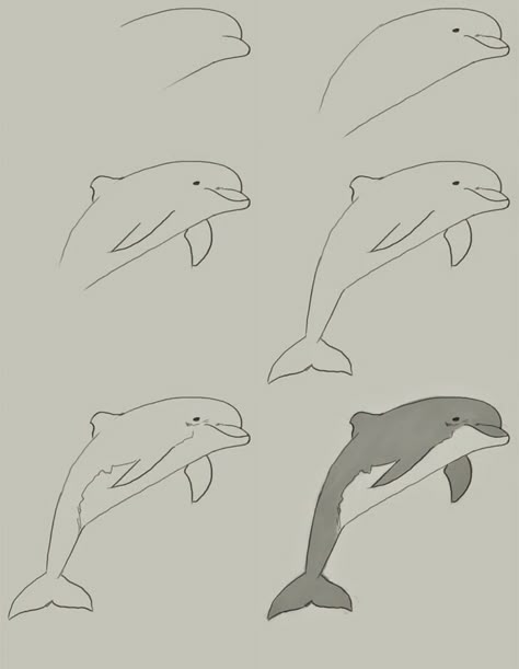 Draw A Dolphin, Dolphin Drawing, Dolphin Painting, Dolphin Art, A Dolphin, Digital Painting Tutorials, Painting Tutorials, Drawing Lessons, Step By Step Drawing