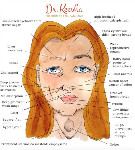 Ayurvedic Face Mapping and Dosha Descriptions with Dr. Keesha Ewers Ancient Science, High Forehead, Face Mapping Acne, Forehead Acne, Face Mapping, Face Reading, African Map, Button Nose, Acne Causes