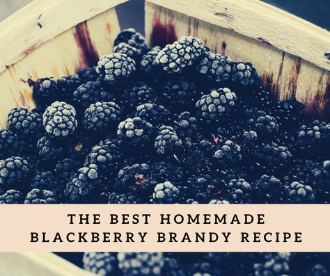 Homemade Blackberry Brandy, Homemade Brandy Recipes, Blackberry Brandy Recipe, Blackberry Moonshine Recipe, Blackberry Liquor, Homemade Groceries, Blackberry Liqueur Recipes, Homemade Brandy, Moonshine Recipes Homemade