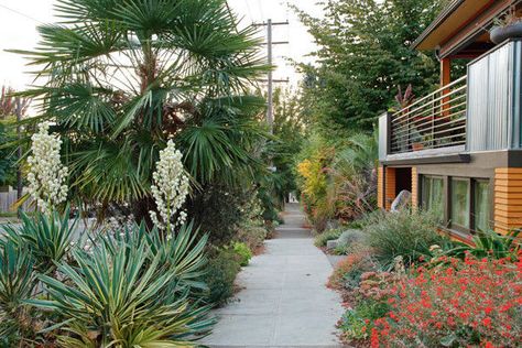 Sidewalk Garden, Beautiful Landscaping, Garden Sprinklers, Garden Shower, Yard Landscape, Dream Yard, Desert Dream, Water Bill, Garden Plans