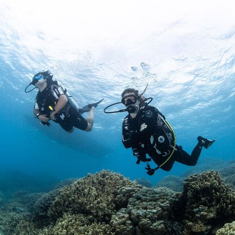 Do you have kids and want to introduce them to the magical world of scuba diving? 🤿 Here's a breakdown of the PADI certifications available for different age groups: 1. PADI Bubblemaker: Allows kids 8 years and older to try scuba gear and swim around in a pool or confined water, with a maximum depth of two meters (six feet). No prior experience is needed, but kids must be comfortable in the water. 2. PADI Seal Team: Offers a more extensive pool program for kids aged 8 years and above, combi... Padi Certification, Rescue Diver, Seal Team, Scuba Gear, Underwater Photos, Environmental Awareness, Programming For Kids, Magical World, Open Water